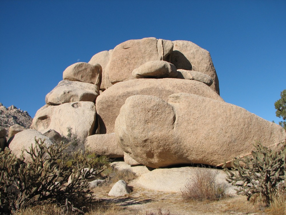 Boulders abound in the Mid Hills, Granite Mountains and Cima Dome areas that can be fun for a little scrambling.