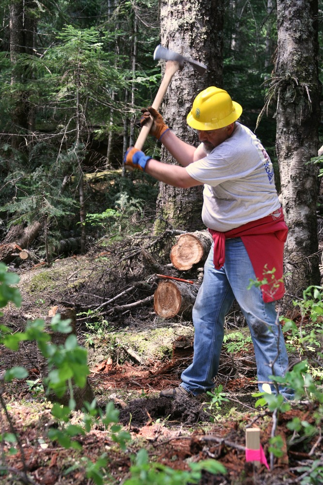 A volunteer wearing a yellow hard hat swings an axe to cut a fallen tree long on a trail. 