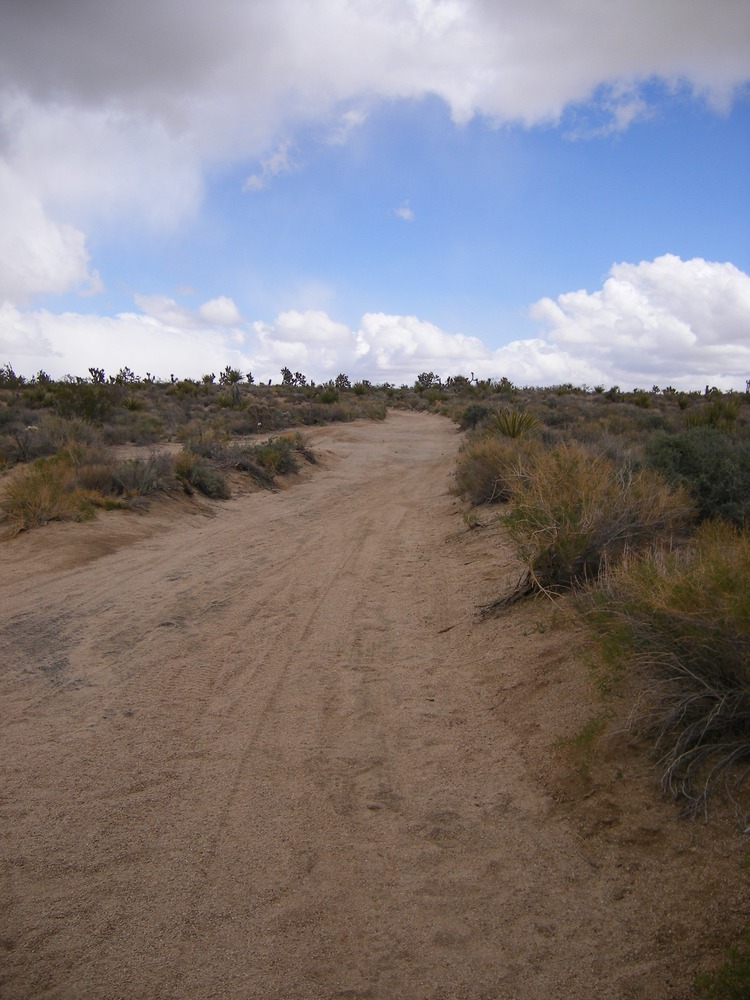 Mojave 4-wheel drive Road near the Marl Mountains