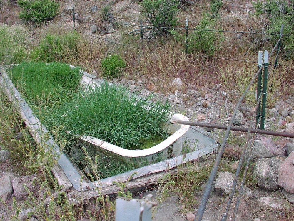 Tub and trough at Bathtub Spring NY