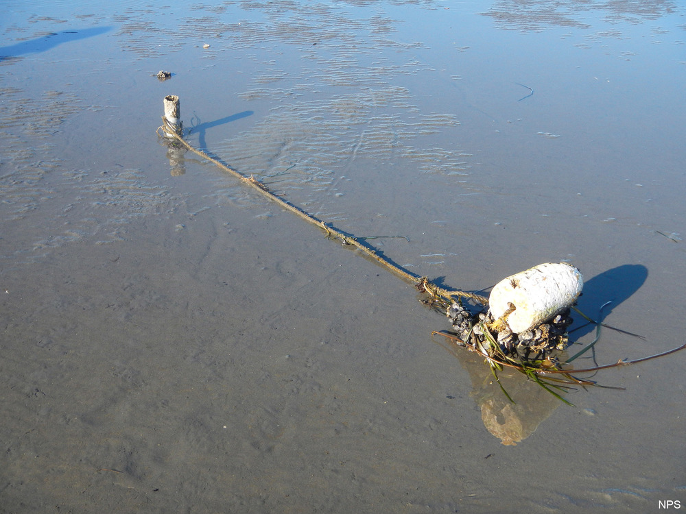 Polystyrene float anchored to PVC pipe at Bed 17 - January 1, 2015