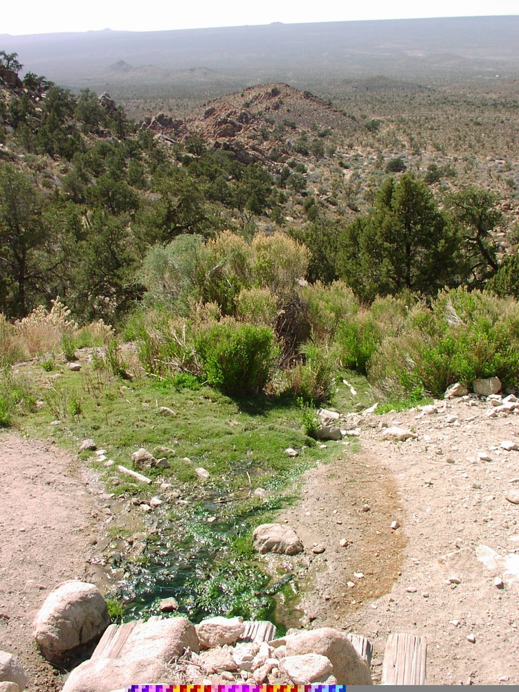 Outflow of Beck Spring (aka Cane Seep)