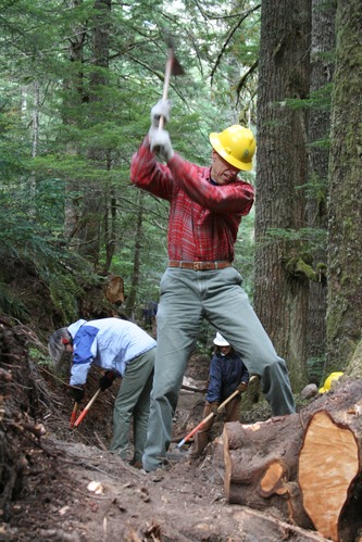 A person swings an axe to cut into a large tree root along a section of trail. 