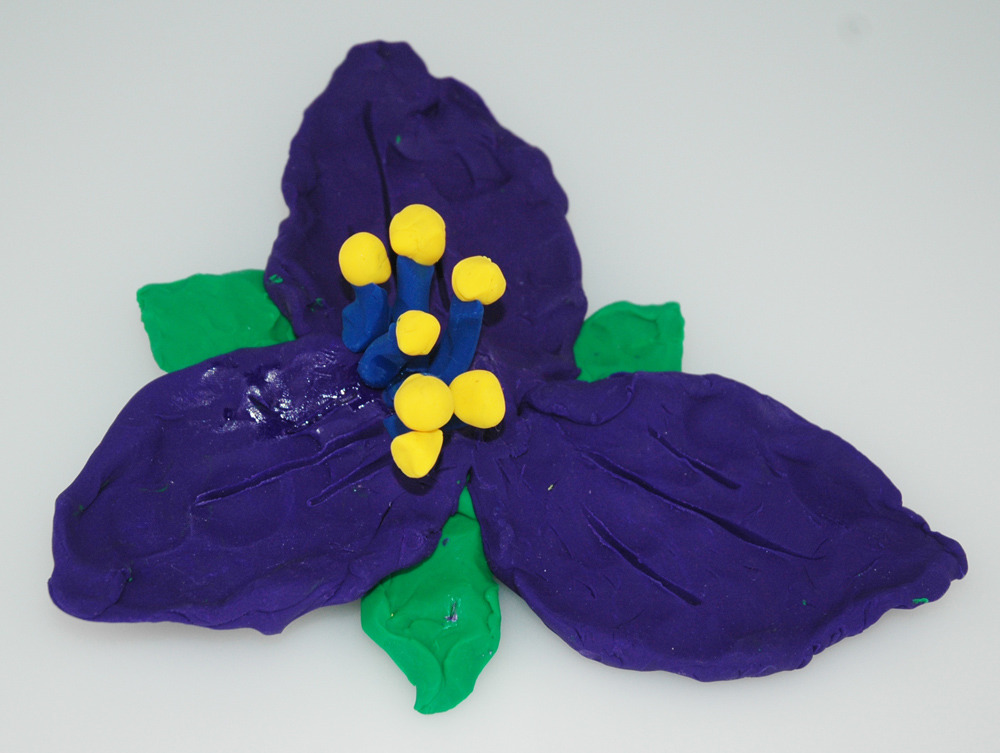 student artwork-spiderwort