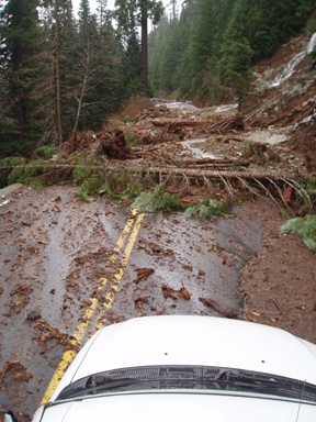 Fallen trees and rocky debris cover a paved roadway. 