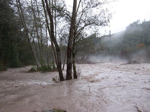 Carbon River flooding over Ipsut Campground.