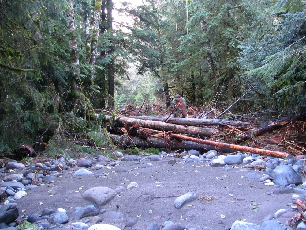 Logs and debris cover the Carbon River Road above Chenuis parking area.