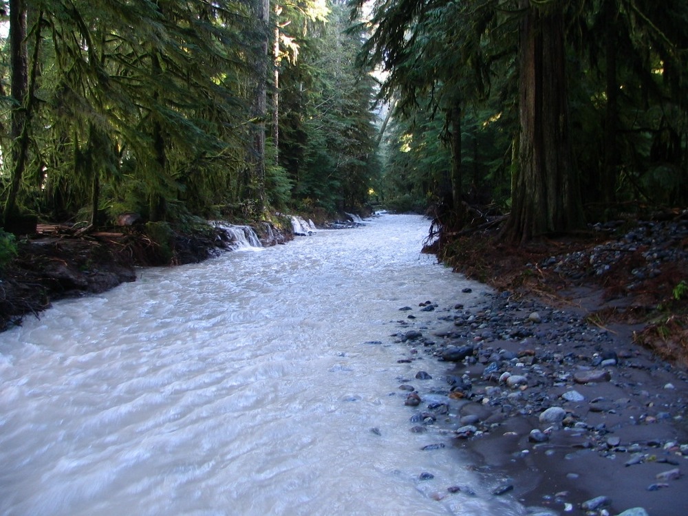 Long stretch of Carbon River Road looks more like a river and less like a road.