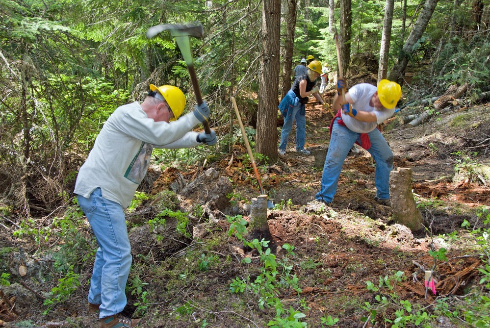 People use tools to clear small trees and plants from the route of a new trail. 