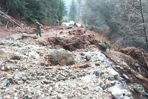 A person stands amongst the large rocks, dirt, and broken trees covering a roadway.