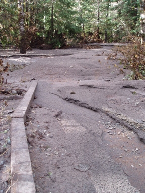 Silt and debris covers a trail, the edge of wood framing visible on one side. 