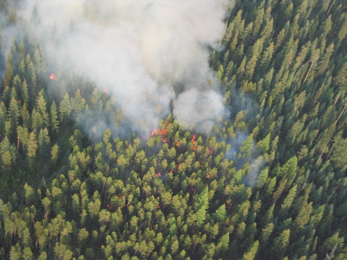view directly above burning forest
