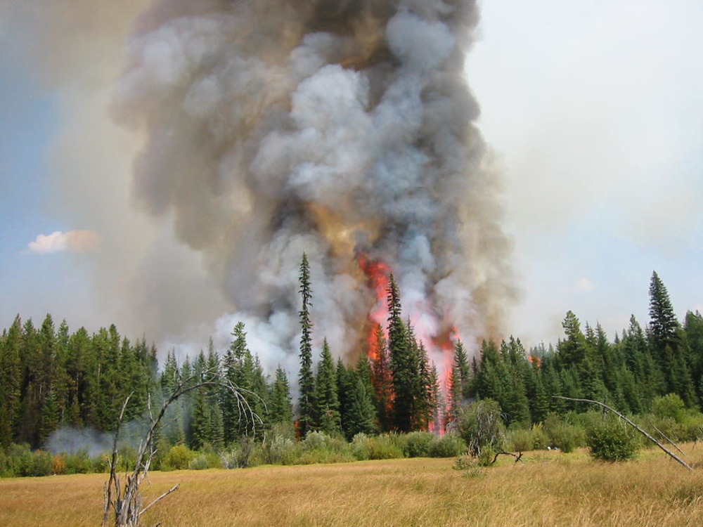 firefighter uses hose