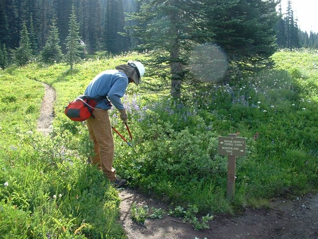 A person clips back a bush next to a trail sign. 