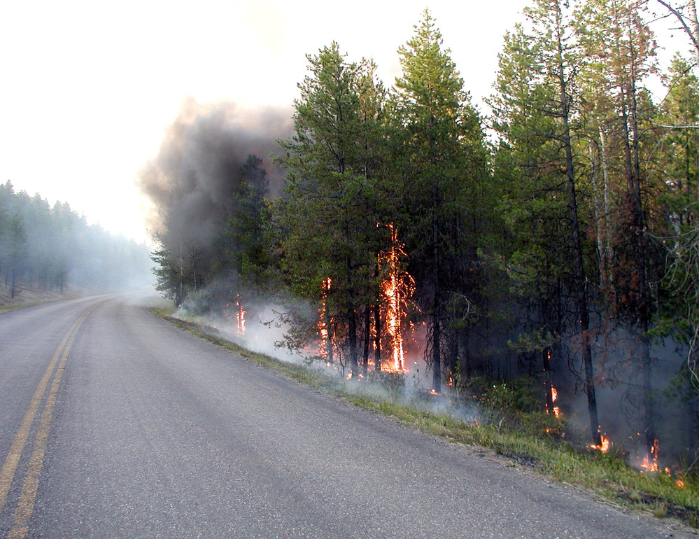 people watch smoke from bridge