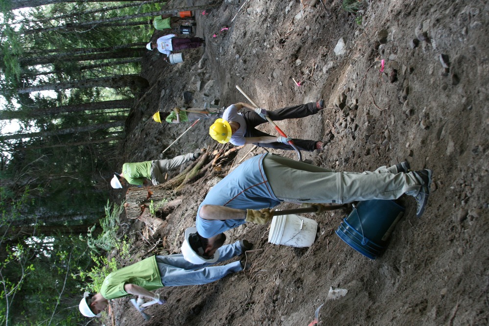 Several people use tools and buckets to cut a trail into a hillside. 