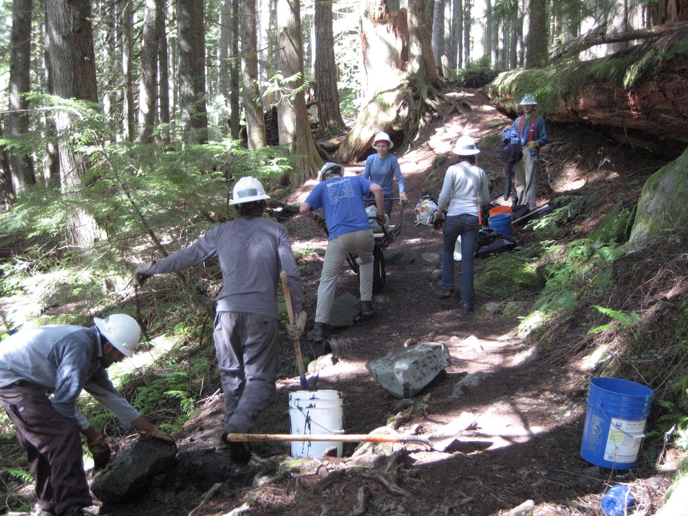 A large group of people work to clear debris and move rocks along a trail. 