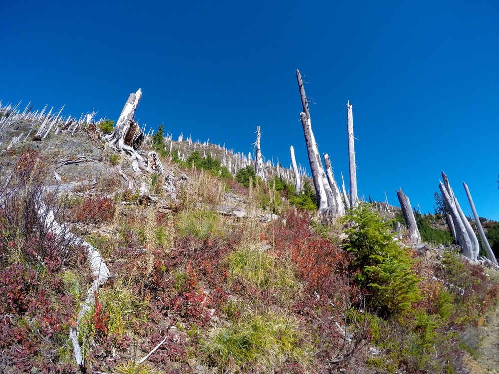 Evidence of past fires