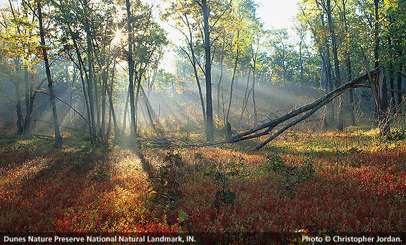 2007 2nd Place Winner