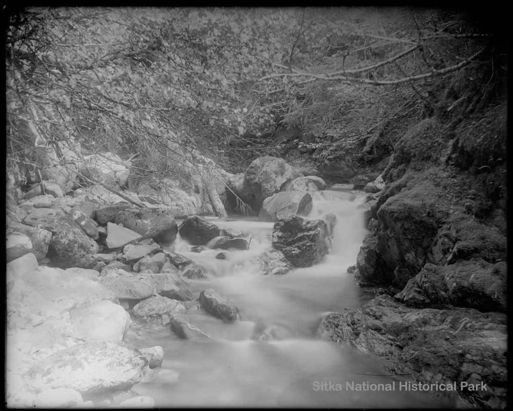 A rapidly moving stream with rocks throughout the stream channel and tangled branches hanging overhead. 