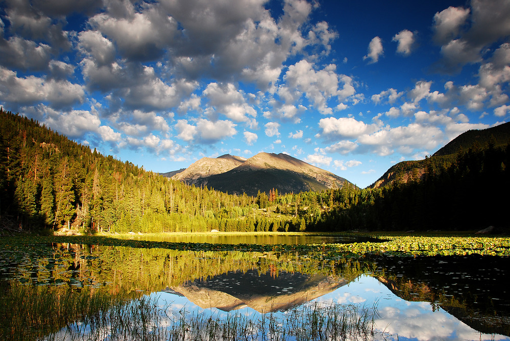 Cub Lake at dawn in Rocky Mountain National Park