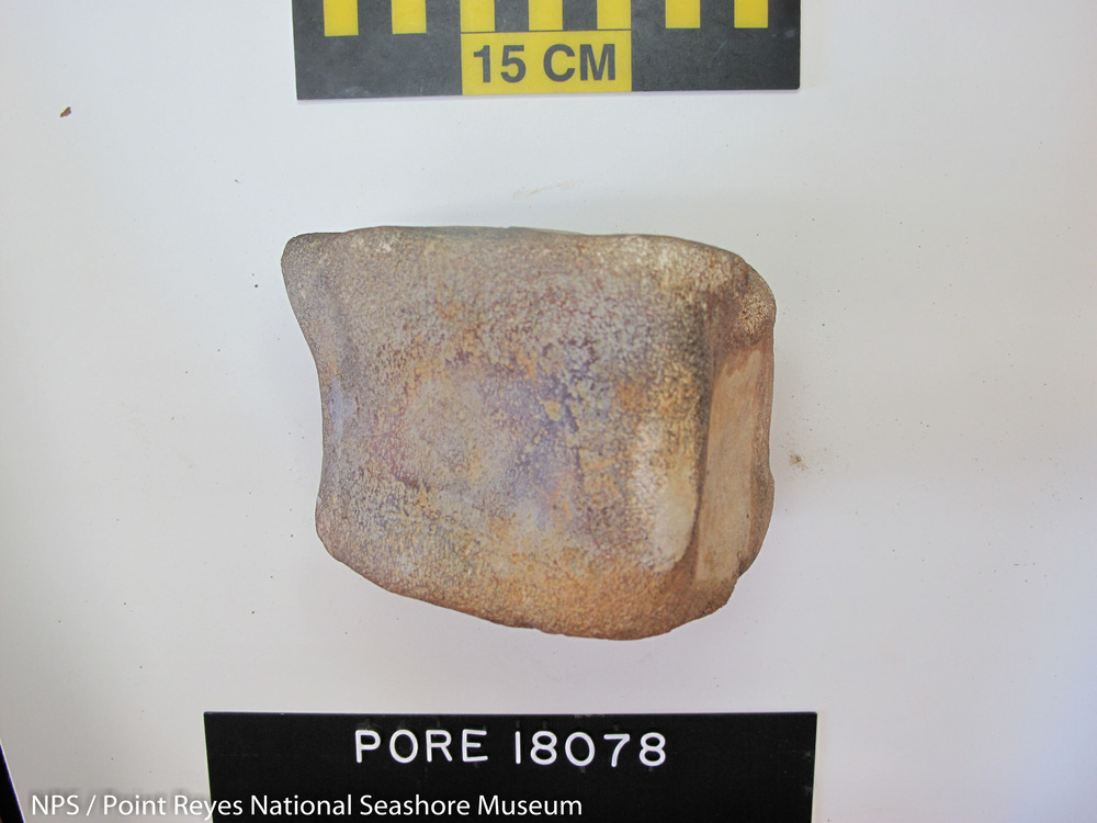 Fossilized whale vertebra, side view. PORE 18078