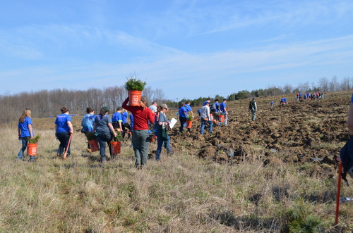Group of people with buckets and tree planting equipment walking up a hillside
