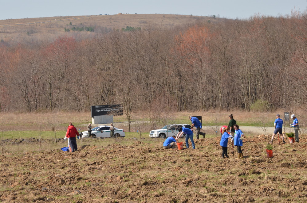People planting trees