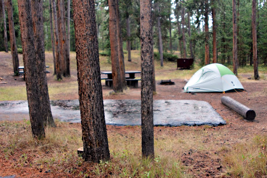 Madison Campground camping sites