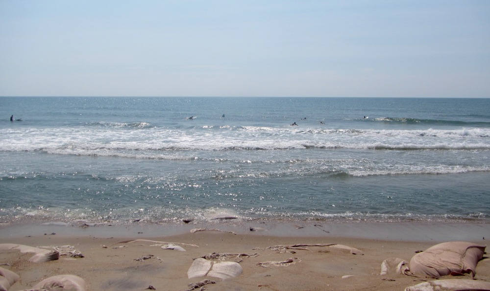 Surfers and Sandbags