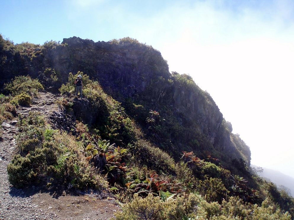 Halemau'u Trail 