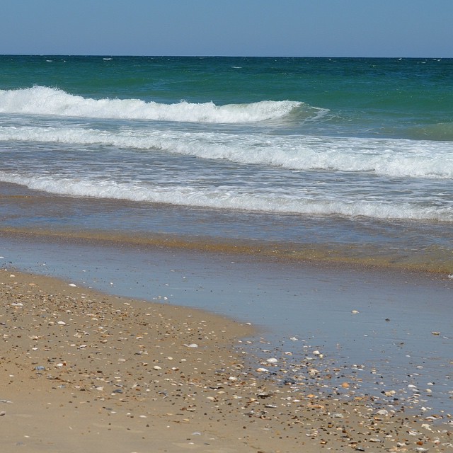 Because we all ❤️ seeing the beach. Happy May, everyone, from Cape Hatteras National Seashore! When are you coming to visit and what are you looking forward to doing here? #FindYourPark and 🏊🏄🎣🚴🎨:b