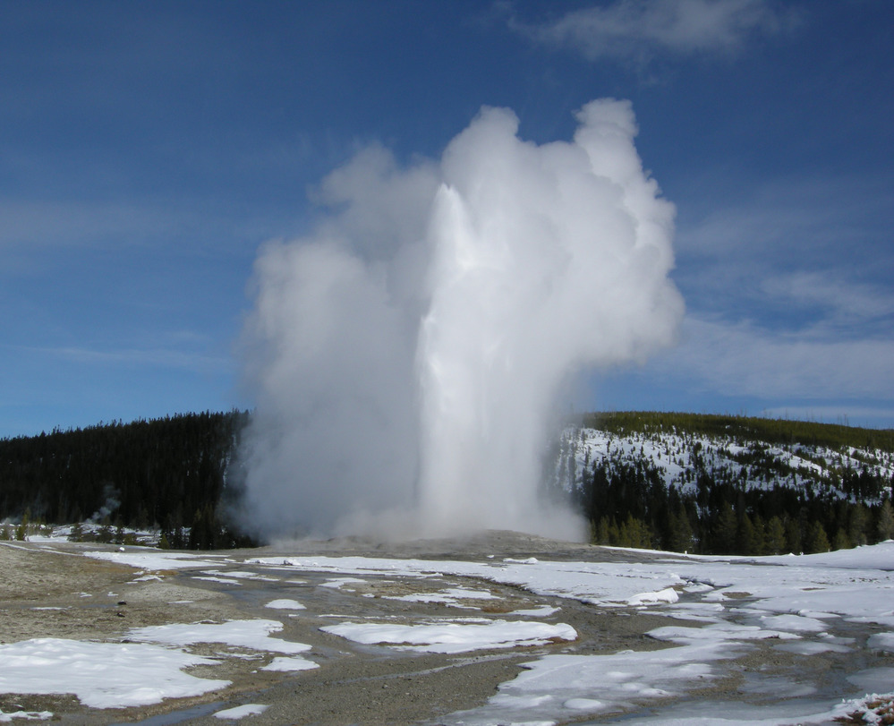 Old Faithful Geyser erupts with patchy snow on the ground around it.
