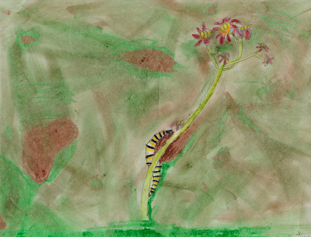 student artwork - drawing of red flower and catapillar