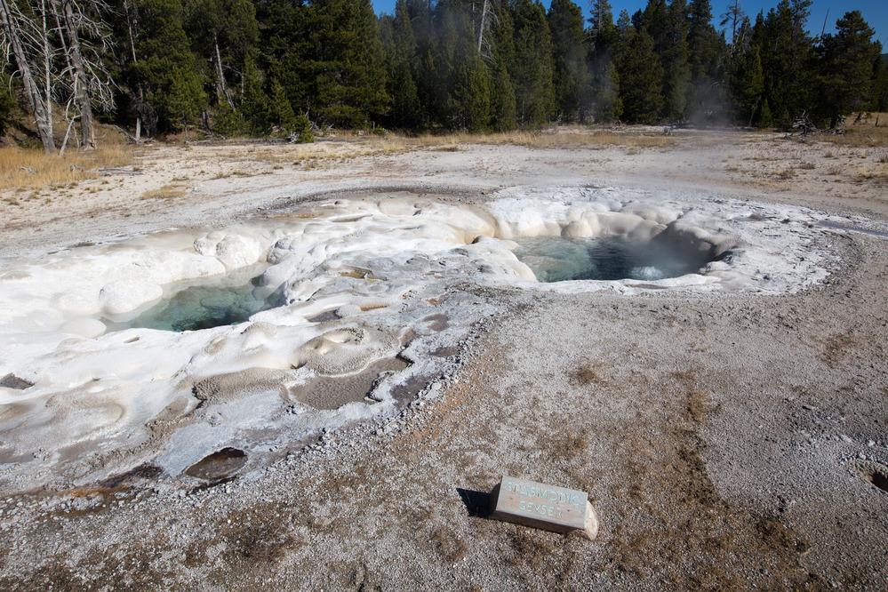 Two round openings in the geyserite have some water in them.