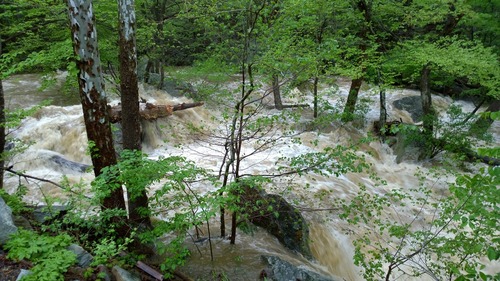 Big Hunting Creek at 20 mile bend East Peniel on 5/16/14