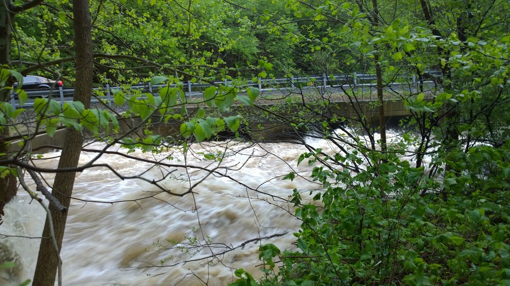 Big Hunting Creek at Peniel on 5/16/14