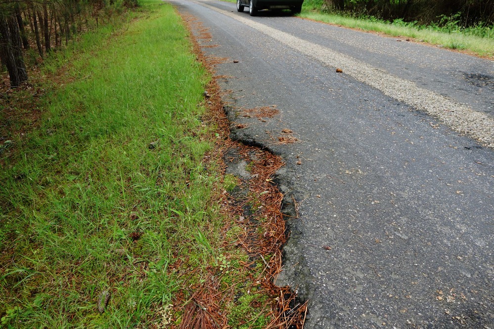Historic Jamestowne Tour Loop Road 