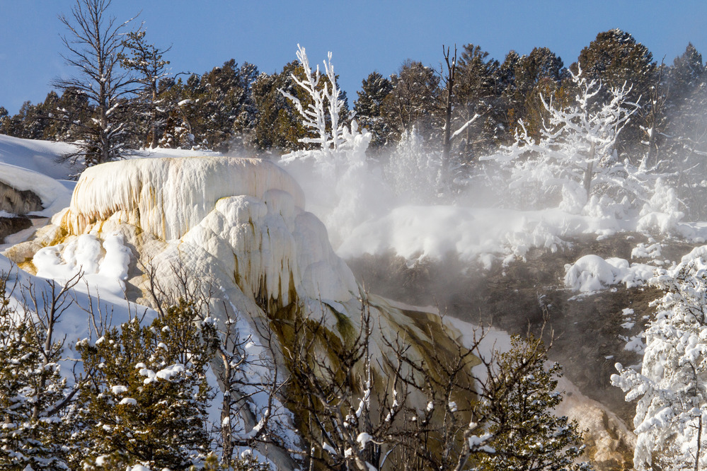 Hot water flows from a rounded hot spring and the steam from it is freezing on the trees in the background.