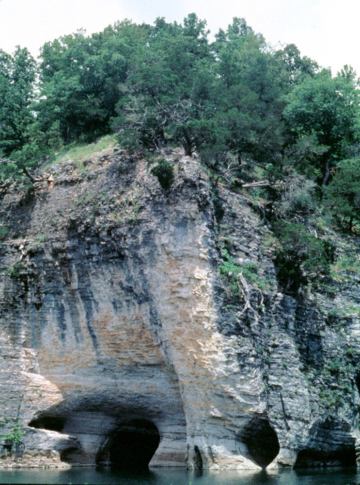 color photo of gray & tan limestone cliff with holes at the river level and forest on top