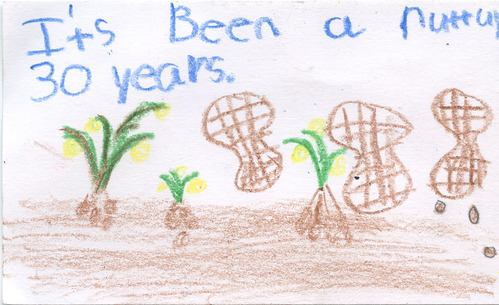 A student designed postcard following the theme of "It's been a nutty 30 years".
