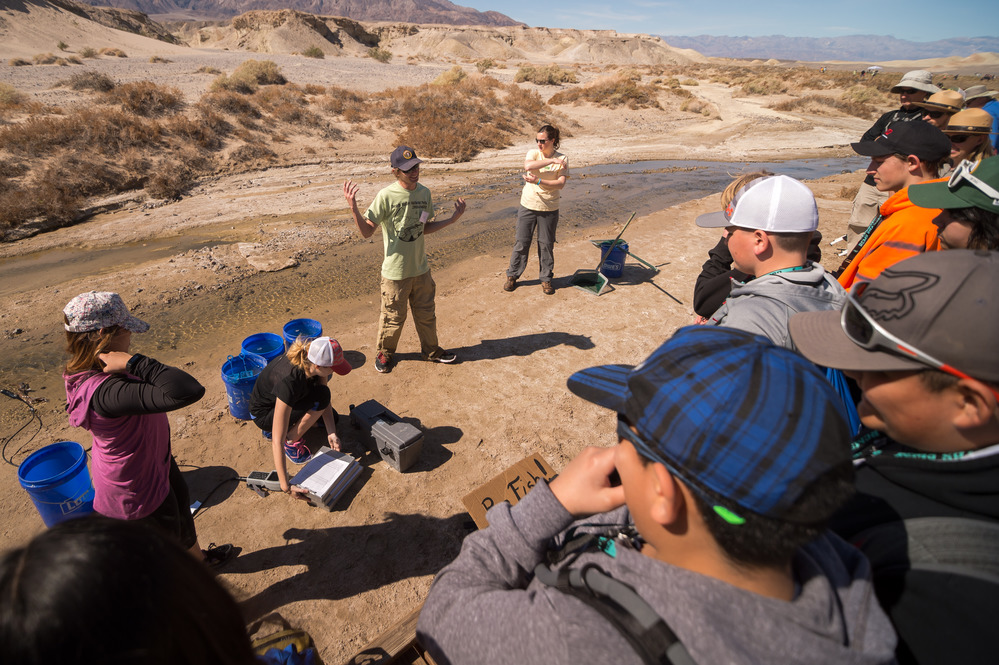 Death Valley's Centennial BioBlitz