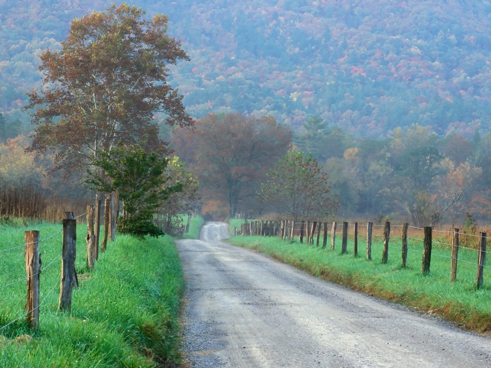 Sparks Lane in Cades Cove
