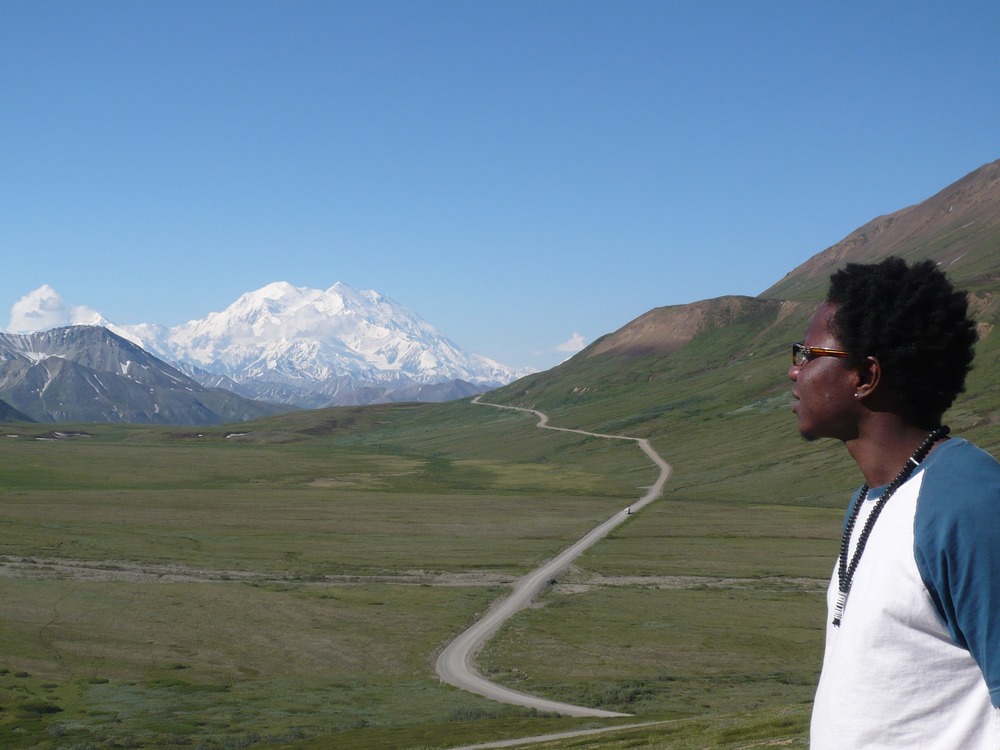 a grizzly bear walking on a snowy hillside