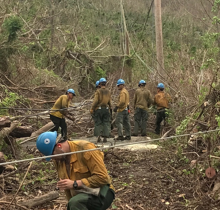 Hotshot Crew Clearing Maho Road