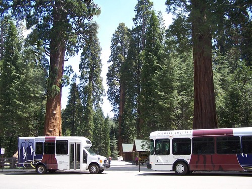 Two Sequoia Shuttle Buses at the Giant Forest Museum