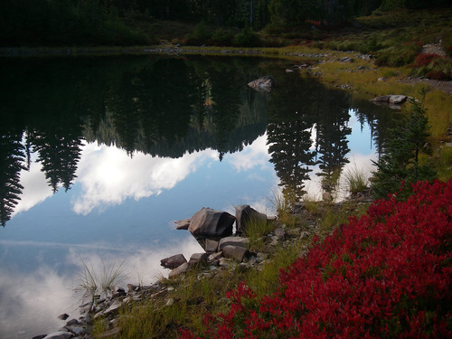 A serene lake with rocks, grass, and bright red shrubbery on its banks. The water reflects trees and sky.