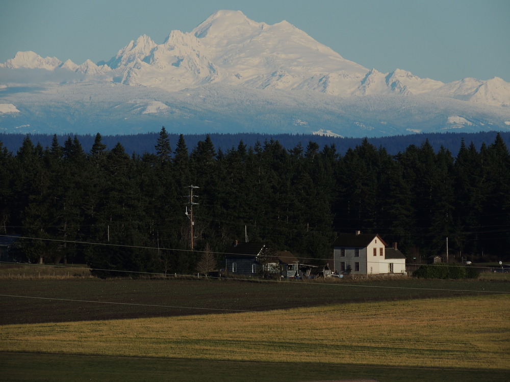 Mt Baker Over Farm Fields