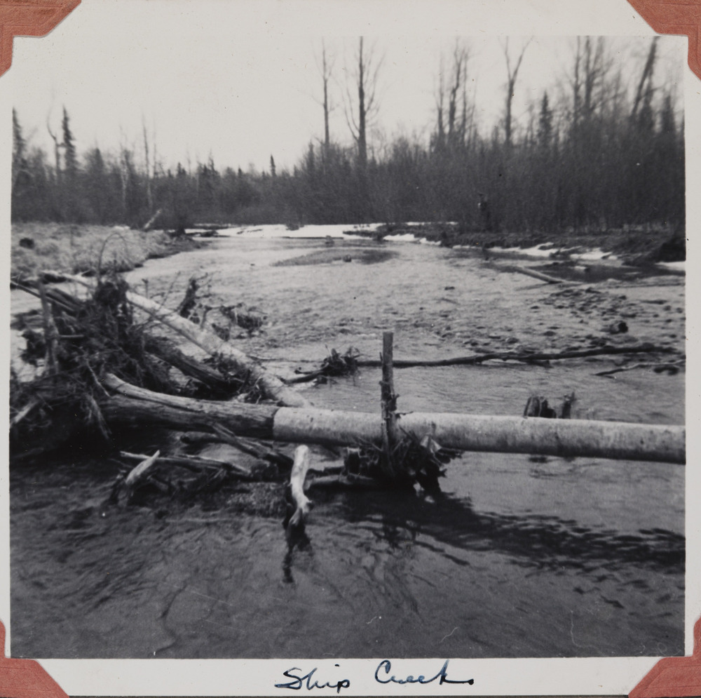 McKay Ship Creek