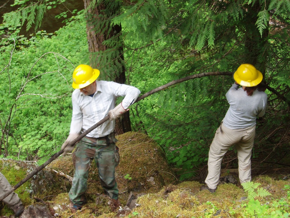 Two people wearing hard hats pull a piece of buried cable out of the ground in a forest. 